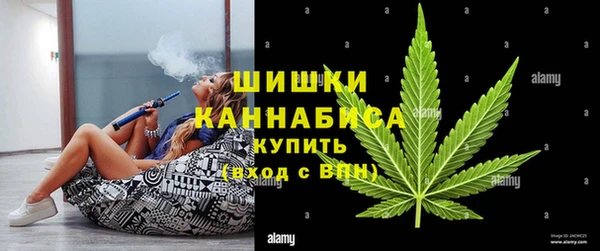 мяу мяу кристалл Корсаков