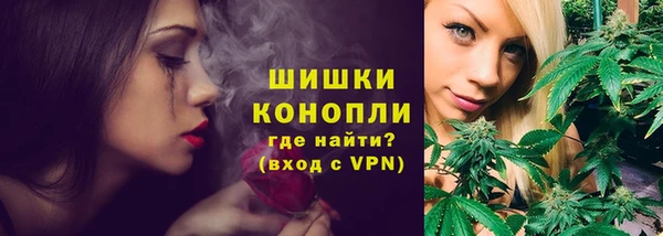 ПСИЛОЦИБИНОВЫЕ ГРИБЫ Коряжма