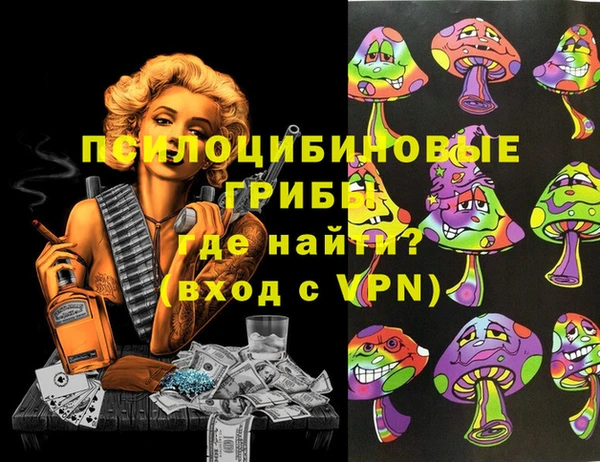 дурь Костерёво