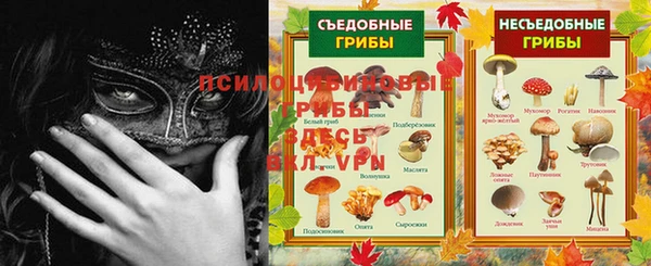 ПСИЛОЦИБИНОВЫЕ ГРИБЫ Коряжма